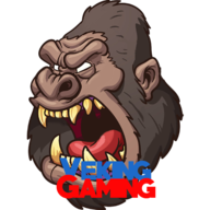 vekingGaming