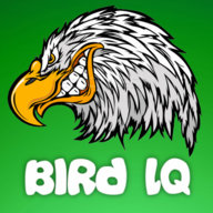 birdlq