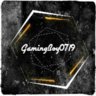 GamingBoy0719