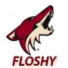 Floshy