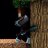 pbyfield01